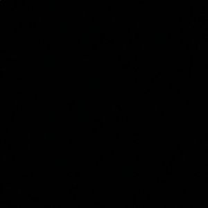 Meet your Posher, Blaise